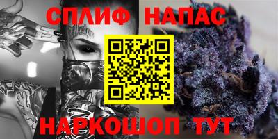 a pvp Камышлов