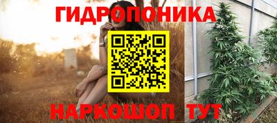хмурый Канаш