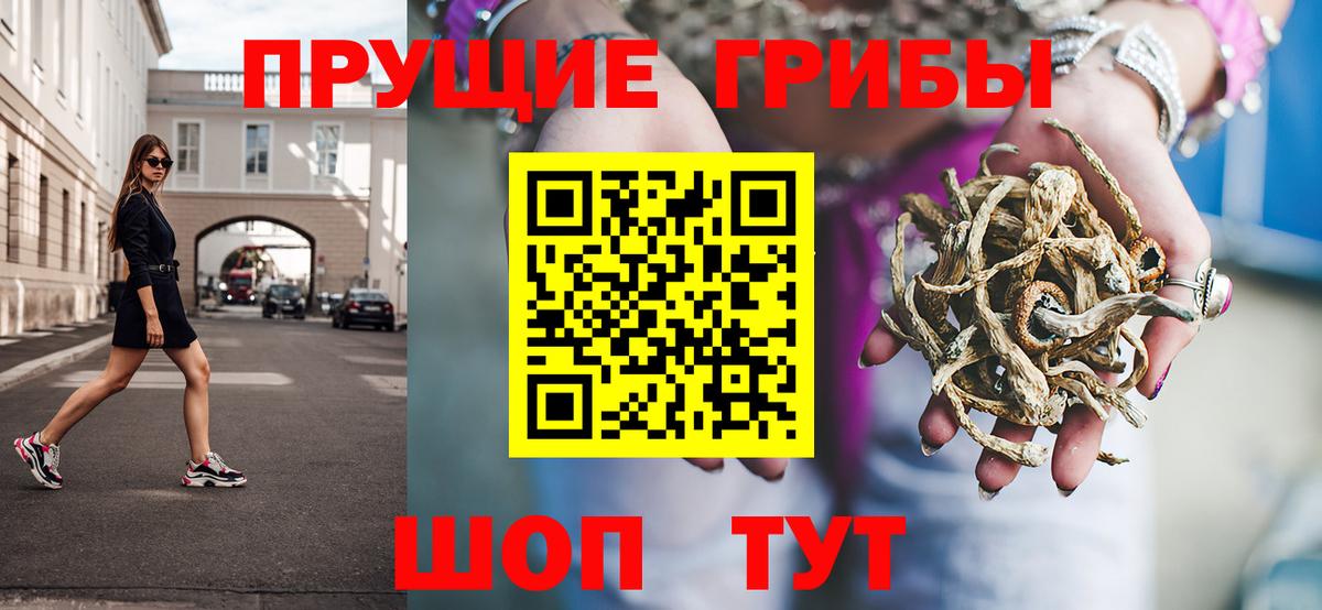 Кропоткин  Галлюциногенные грибы GOLDEN TEACHER  Вход с VPN 